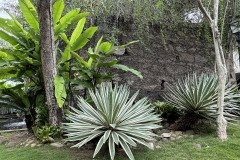 IMG_7307