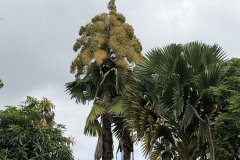 IMG_7356