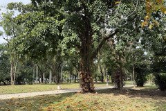 IMG_7359