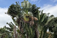IMG_7360