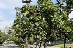 IMG_7361
