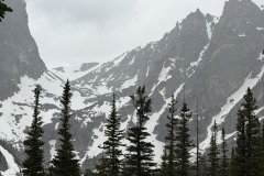 IMG_0765
