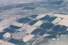 IMG_5780