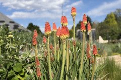 IMG_5847
