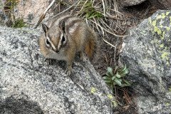 IMG_6060