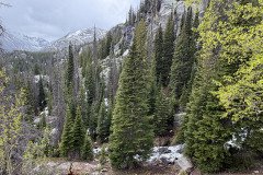 IMG_6101