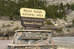 IMG_6145