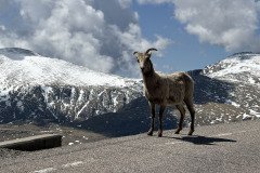 IMG_6148