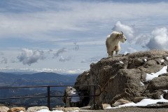 IMG_6158
