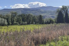 IMG_6355