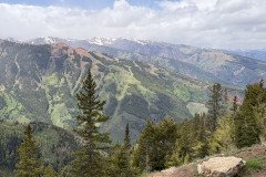 IMG_6393