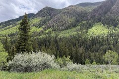 IMG_6404