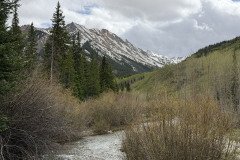 IMG_6437