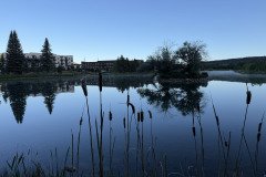 IMG_6457