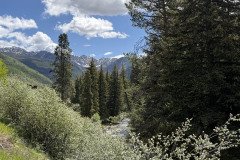 IMG_6477