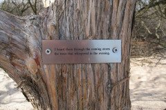 IMG_5952