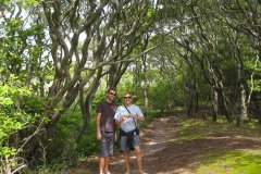 IMG_6650