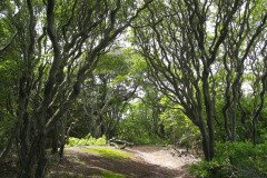 IMG_6651