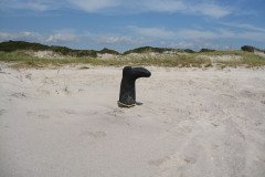 IMG_7828