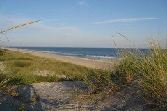 IMG_7937