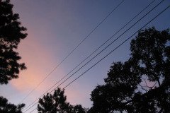 IMG_7979