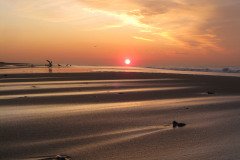 IMG_7985