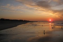 IMG_7991