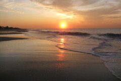 IMG_7998