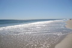 IMG_8017
