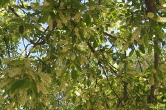 IMG_1745