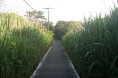 IMG_1868