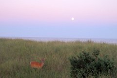 IMG_2822