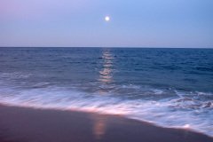 IMG_2841