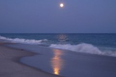 IMG_3958