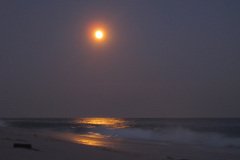 IMG_3967