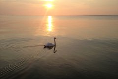 IMG_3856