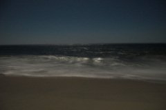 IMG_4872