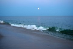 20140813_0669