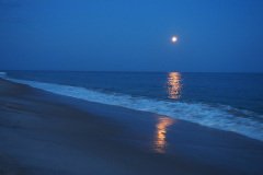 20140813_0687