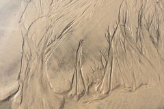 20150901_4657