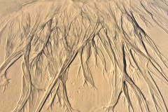 20150901_4661