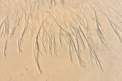 20150901_4662