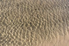 20150917_4717