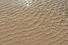 20150917_4725