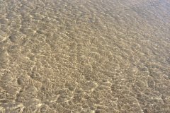 20150917_4728