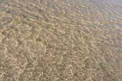 20150917_4729