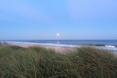 blueMoon-Aug2015-1