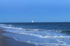Fire Island 2016