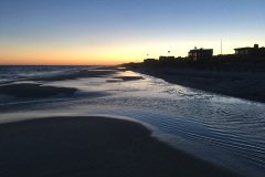 20161116_5154