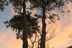 20161116_5170